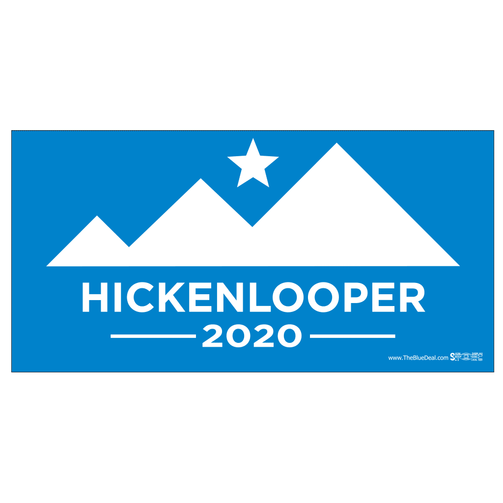 John Hickenlooper for President Bumper Sticker