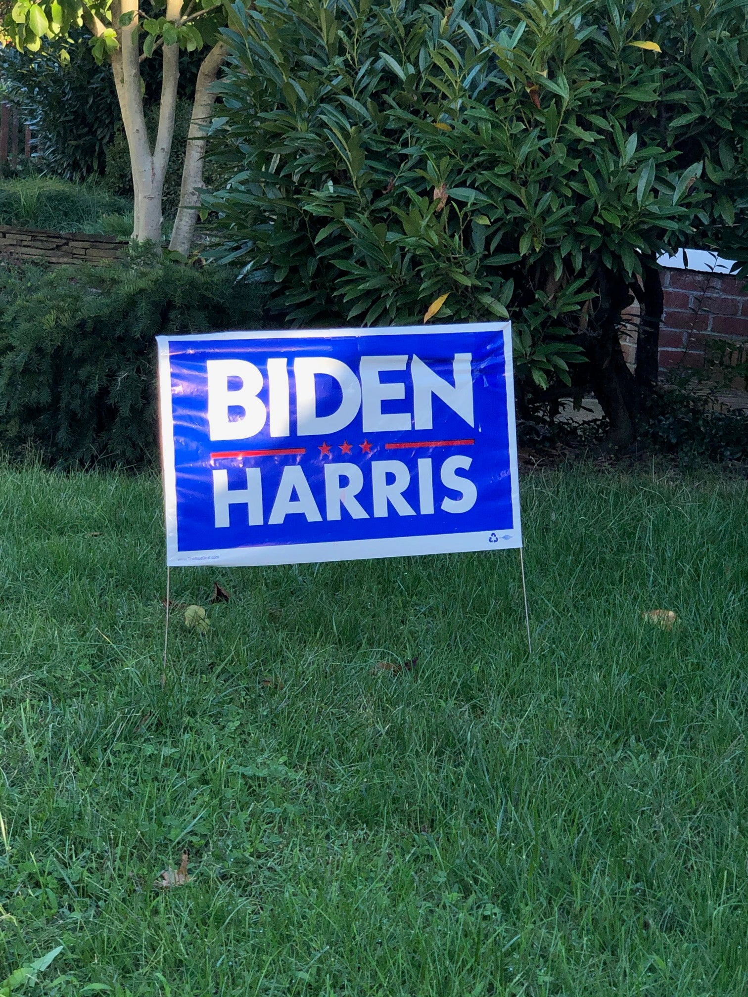 Biden Harris yard sign displayed in yard