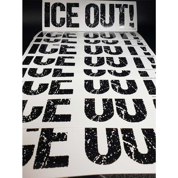ICE Out! Bumper Sticker (3