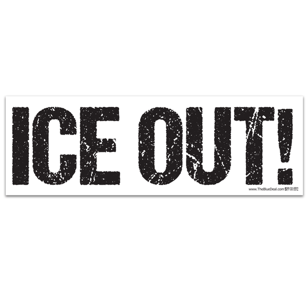 ICE Out! Bumper Sticker (3
