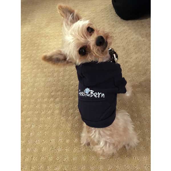 Bernie Sanders Dog Hoodie