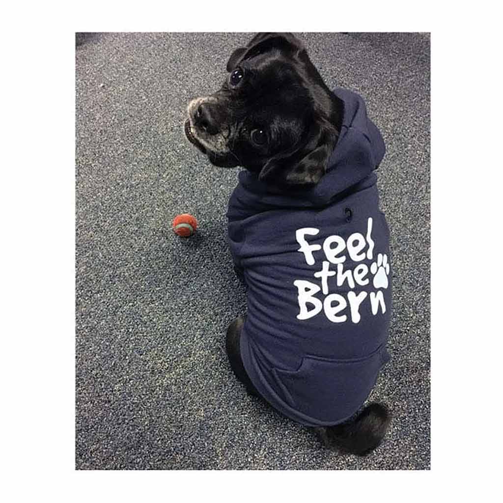 Bernie Sanders Dog Hoodie (Large)