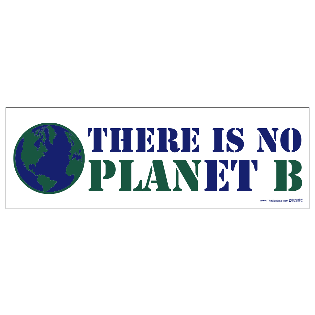 There is No Planet B Bumper Sticker
